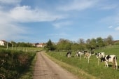 A l'approche de Colombey
